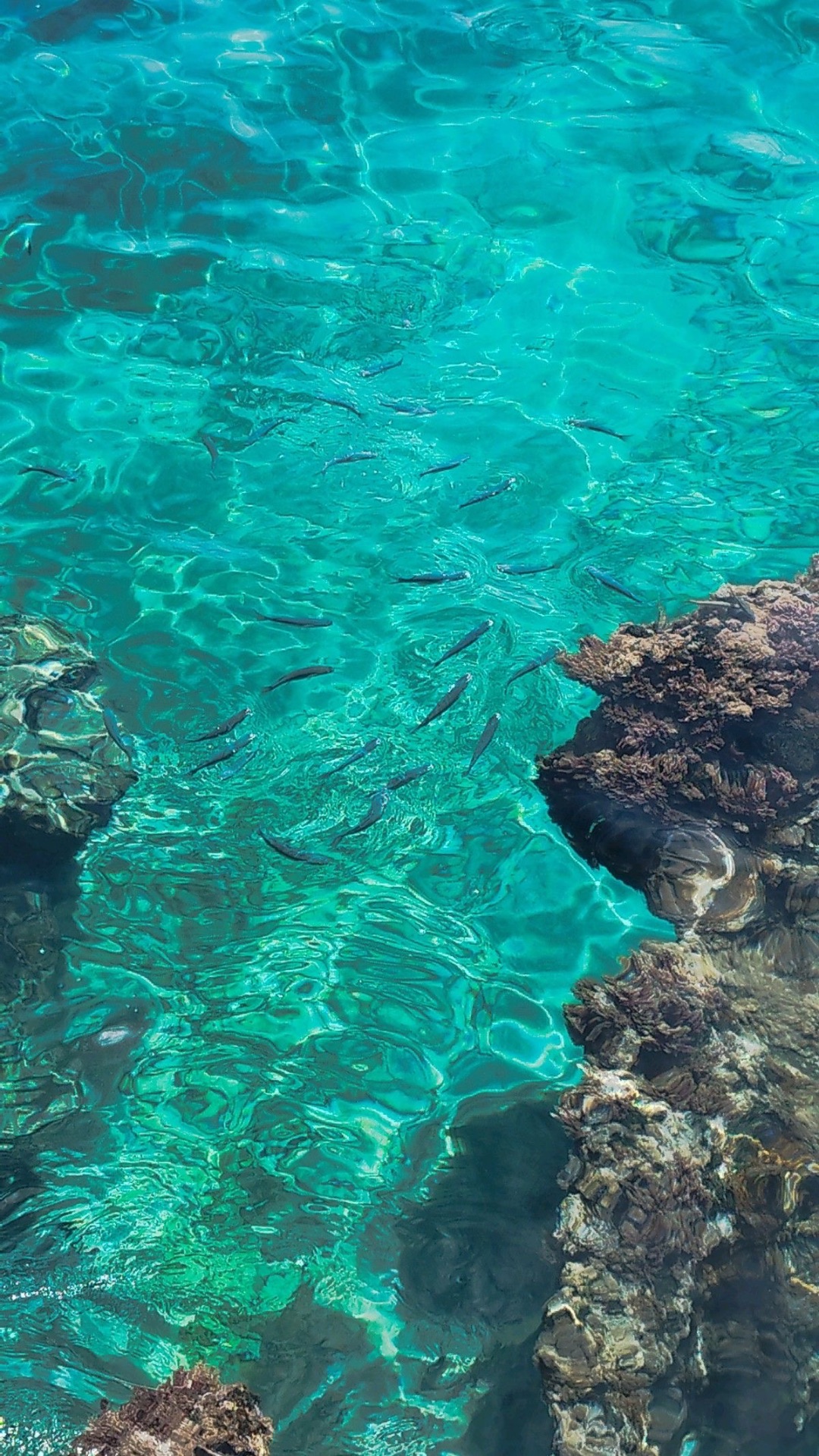 Crystal-clear Ionian water at Soleil, Dhërmi
